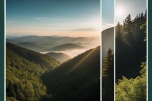 Popular One Day Hikes in the Smoky Mountains