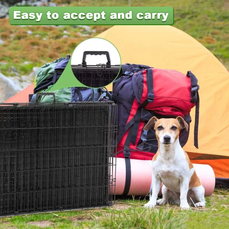 Is Your Pet A Great Camper Or A Scaredy Cat? Tips For Helping Anxious Animals Enjoy The Outdoors