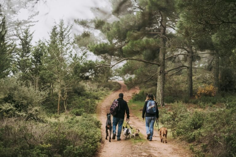 From Furry Friends To Fostering Bonds – The Benefits Of Hiking With Dogs