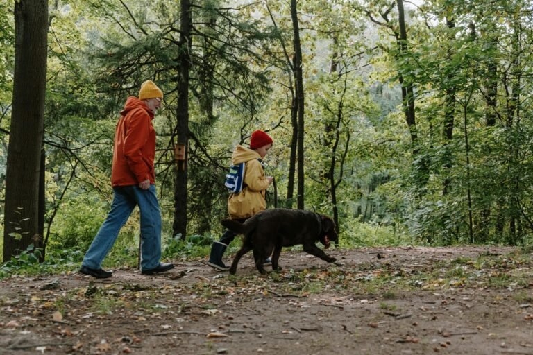 Two people, dressed in jackets and hats, walk through a forested area with a dog. One person wears a yellow jacket and red hat, the other an orange jacket and yellow hat. The dog, a dark-colored breed, walks ahead of them, sniffing the ground. Trees surround the trail.