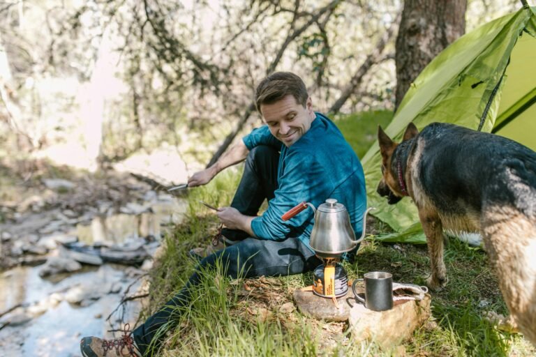 Unleash The Adventure – Camping With Canines In Untamed Wilderness