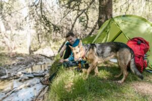 How To Create A Pet-Friendly Campsite – Unleash The Adventure!