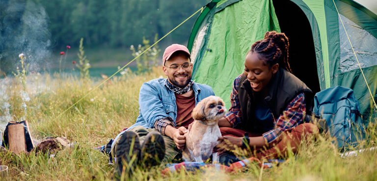 How To Keep Your Pet Safe And Happy While Camping