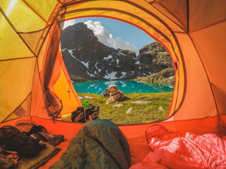 View from inside an orange tent of a picturesque mountain scene. A lake with turquoise water and surrounding rocky mountains can be seen. A dog is sitting just outside the tent, with some camping gear, sleeping bags, and a hat visible inside the tent.