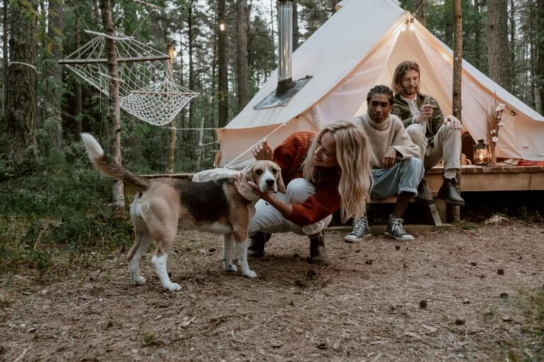 Three people enjoying a rustic camping setup in a wooded area. A woman kneels to pet a beagle, while a man with a drink and another person sit on the wooden deck outside a white tent. A hammock hangs between trees in the background.