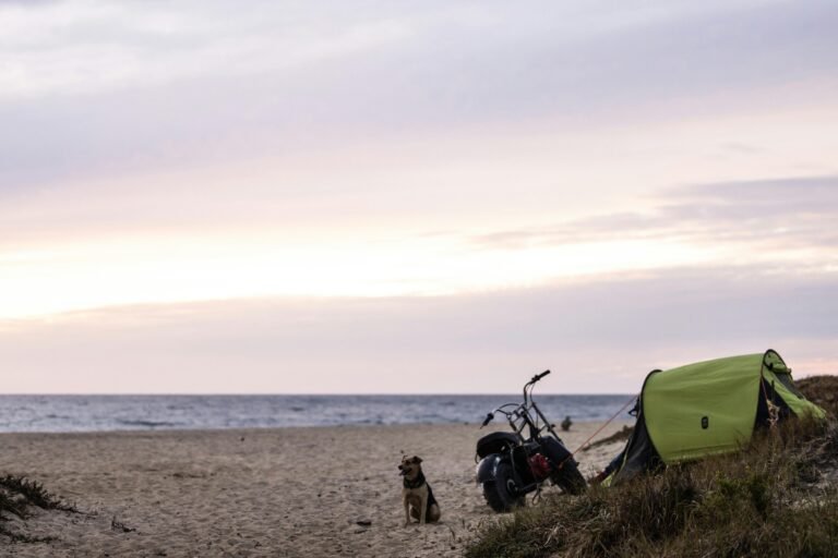 A serene beach at sunset with a green tent, a motorcycle, and a small dog sitting next to the motorcycle. The sky is painted with soft pastel colors as the sun dips toward the horizon, creating a tranquil and relaxed atmosphere.