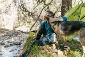 Pawesome Paths – Discovering Hidden Trails For Hiking With Dogs Off The Beaten Path