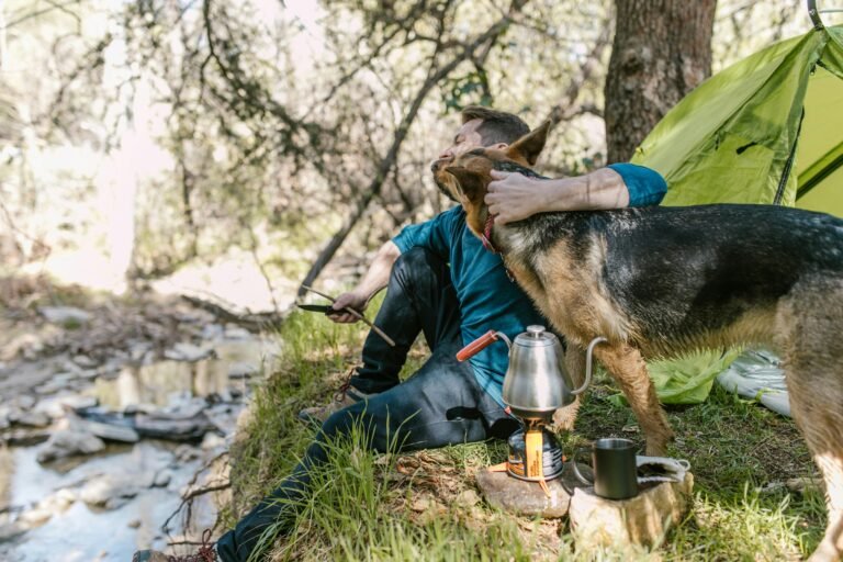 A person sitting on the grass next to a bright green tent, hugging a German Shepherd. The person holds a stick and sits near a camp stove with a kettle and cup. They are by a stream in a forested area on a sunny day.