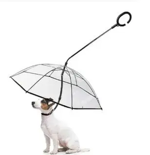 Transparent Dog Umbrella with Dog Leash for Rain Walking