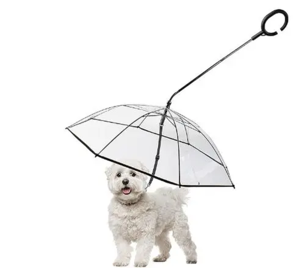 Transparent Dog Umbrella with Dog Leash for Rain Walking - Image 3