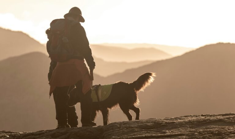 Is Your Pet Ready for an Amazing Wilderness Adventure? What to Know Before You Go!!