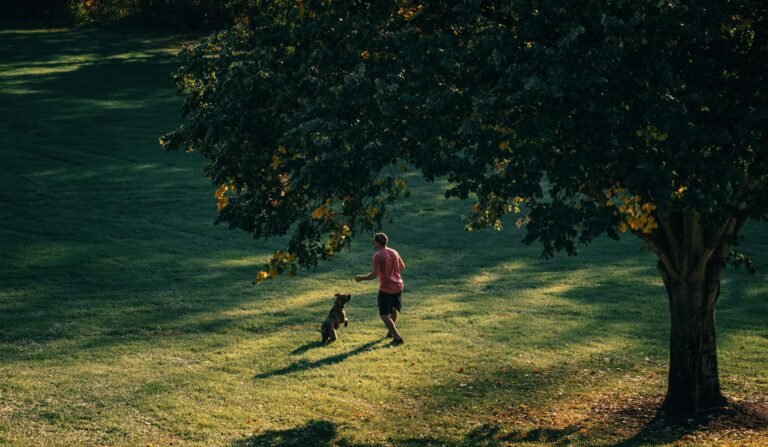 Dog playing outside