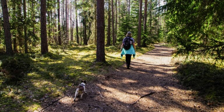 pet on trail