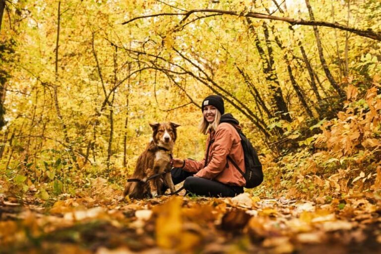 What Irresistible Seasonal Treats Can You Make For Your Canine Companions?