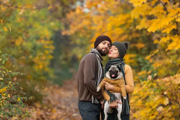 Capturing Memories – How To Take Stunning Fall Photos With Your Dog