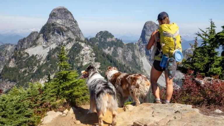 10 Cozy Dog-Friendly Destinations for a Fall Getaway