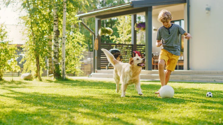 Are There Overlooked Outdoor Activities That Make Pet Bonding Extraordinary?