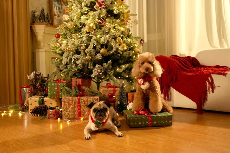 Are You Prepared To Unleash The Magic Of The Holidays With Your Furry Friend?