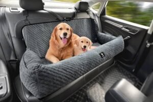 How to Keep Your Dog Safe and Happy During Holiday Travel