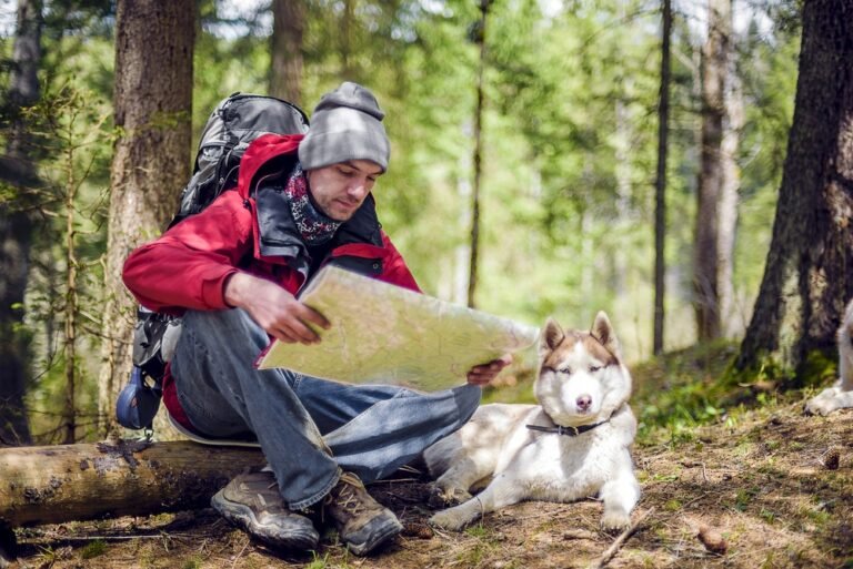 What Remarkable Outdoor Pursuits Can Forge Lasting Holiday Memories With Your Dog?