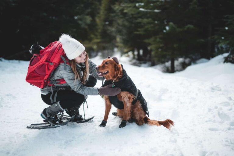 Dog with woman wearing coat in snow