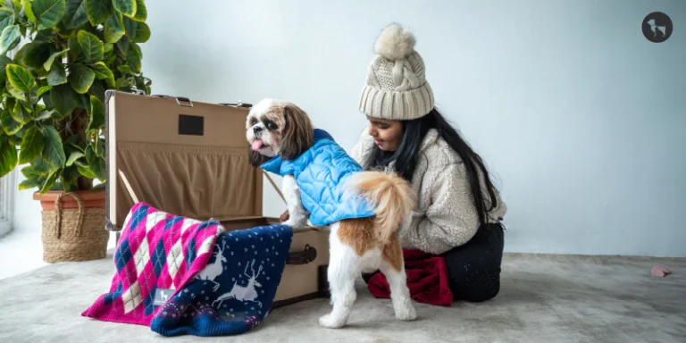 Dog and girl winter outfits