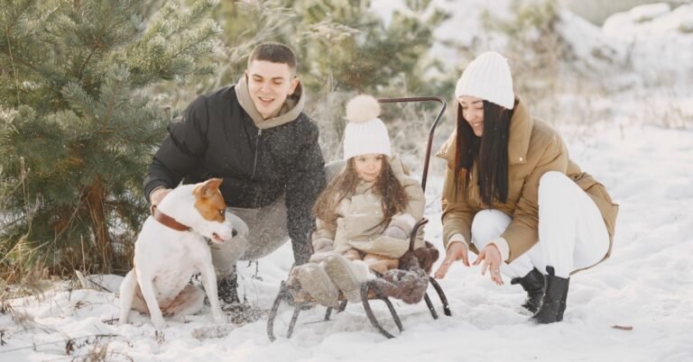 10 Cozy Winter Activities To Share With Your Furry Friend