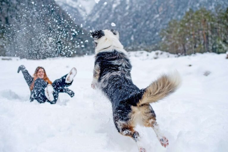 Attachment Details woman-playing-in-the-snow-with-her-dog