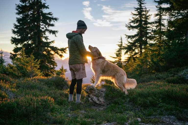 Dog man silhouette