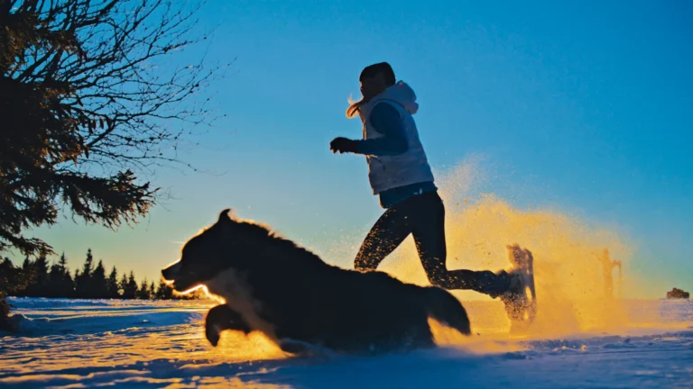 dog running in snow