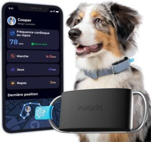 Tech-Savvy Pets – The Rise of Smart Dog Accessories in 2025