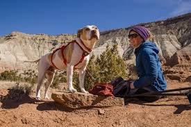 woman and dog hiking