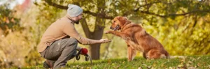 5 Ways Outdoor Adventures Make You (and Your Dog) Happier & Healthier
