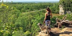 Exploring Nature – The Best Spring Hikes For Dogs Of All Sizes
