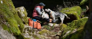Dog Hiking Etiquette – How To Ensure A Happy Experience For Everyone
