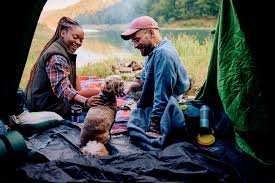 First Aid for Furry Friends – What to Do if Your Dog Gets Injured Outdoors