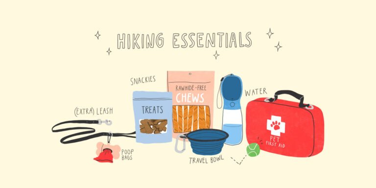 Is Your Dog Adventure-Ready? Health Checklist Before You Hit the Trail
