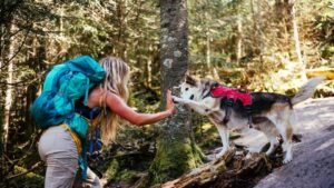 Spring Adventures – The Ultimate Guide To Hiking With Your Dog