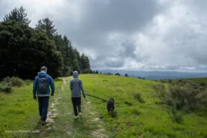 How Do You Navigate The Challenges Of Outdoor Adventures In Unfamiliar Terrain With Dogs?