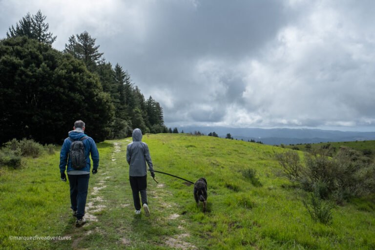 Hiking-With-Dogs-Skyline