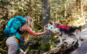 How Can You Cultivate A Harmonious Bond With Your Pet During Camping Excursions?