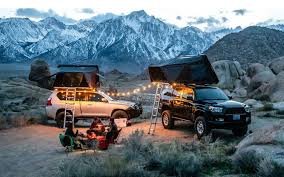 How Do You Ensure A Serene Camping Experience With Your Four-Legged Friend?
