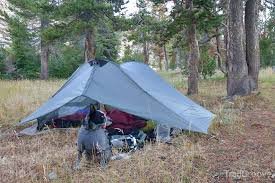 How Can You Embark On A Serendipitous Hiking Expedition With Your Canine Companion?