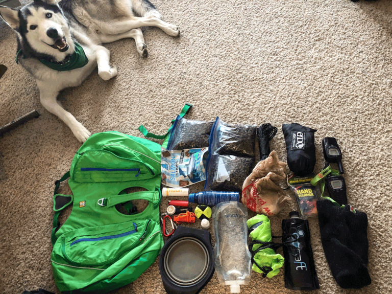 What Should You Pack For Your Dog’s Trail Adventure To Keep Them Happy And Healthy?