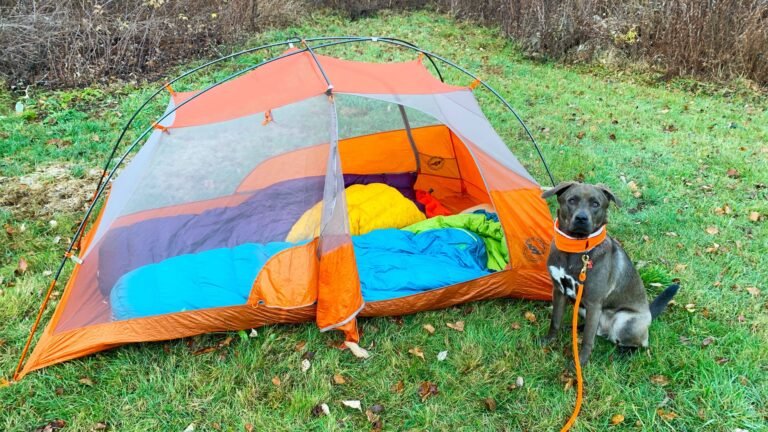 From dog sleeping bags to pup tents—what works best?