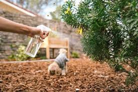 insect repellent for dogs
