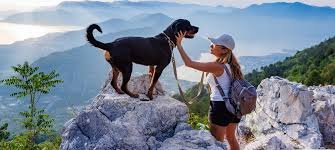 dog and owner on mountain