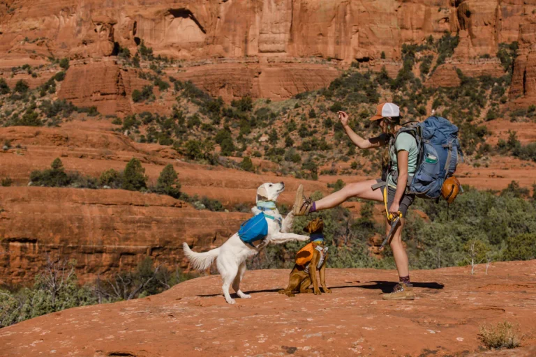 How Do You Protect Your Pup During A Summer Adventure While Hiking?