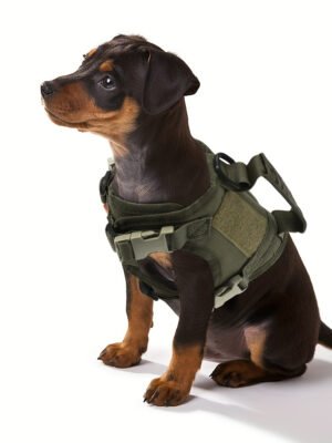 Adjustable Medium/Small Dog Tactical Vest - Breathable Green Pet Safety Vest with Reflective Strips & Secure Buckles for Outdoor Walks, Hikes, Urban Adventures, Secure Buckle Closure