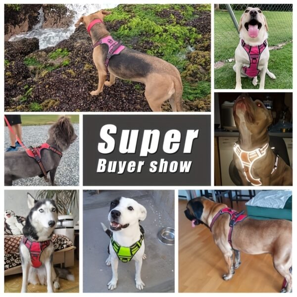Trail2Tail™ 6-Piece Urban Dog Harness Kit – Reflective Everyday Set for City Adventures - Image 8